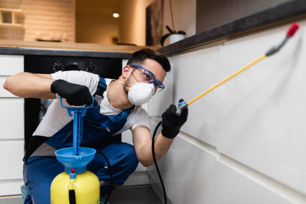 Best Cockroach Control Services  in Manchester, NH