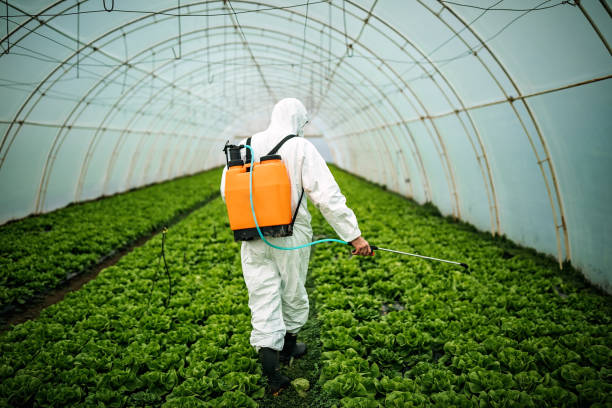 Best Pest Control Cost  in Manchester, NH