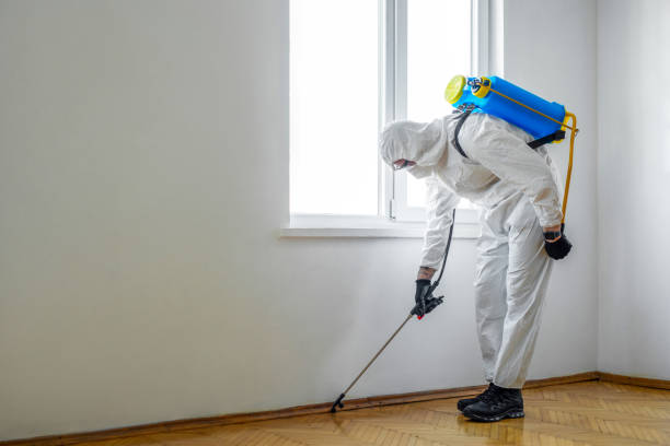 Best Best Pest Control Companies  in Manchester, NH