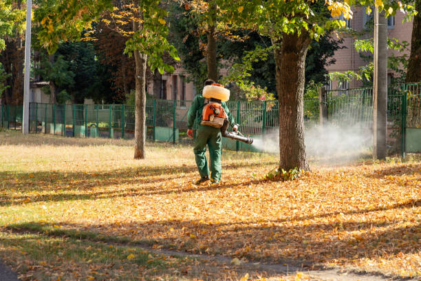 Best Affordable Exterminators  in Manchester, NH